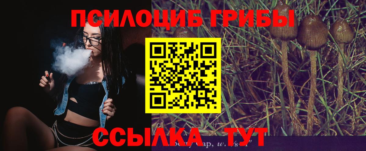 Заволжье  Галлюциногенные грибы прущие грибы  Вход с VPN 