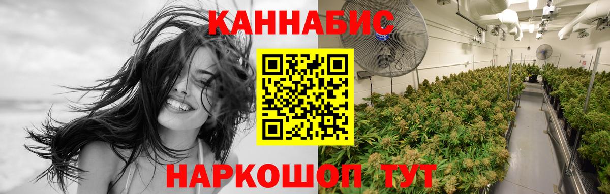 Бошки марихуана план Заволжье